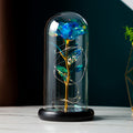Preserved Flower In Glass Gift